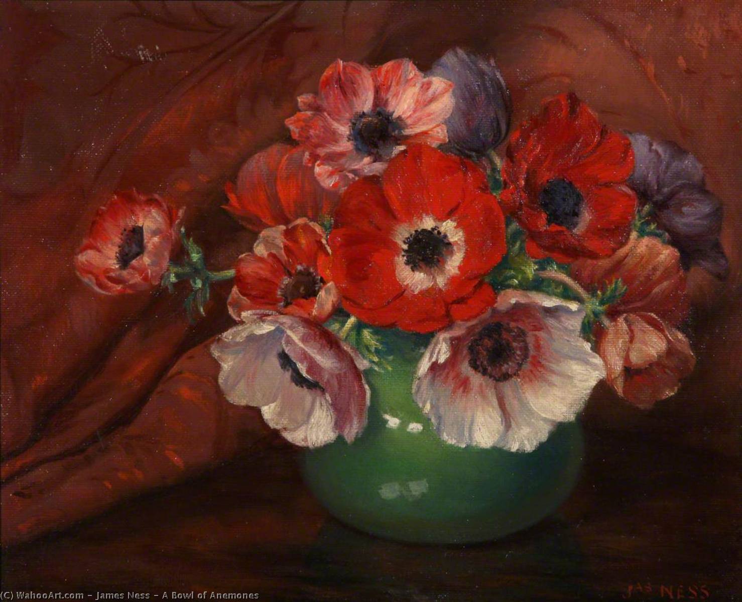 A Bowl Of Anemones — James Ness