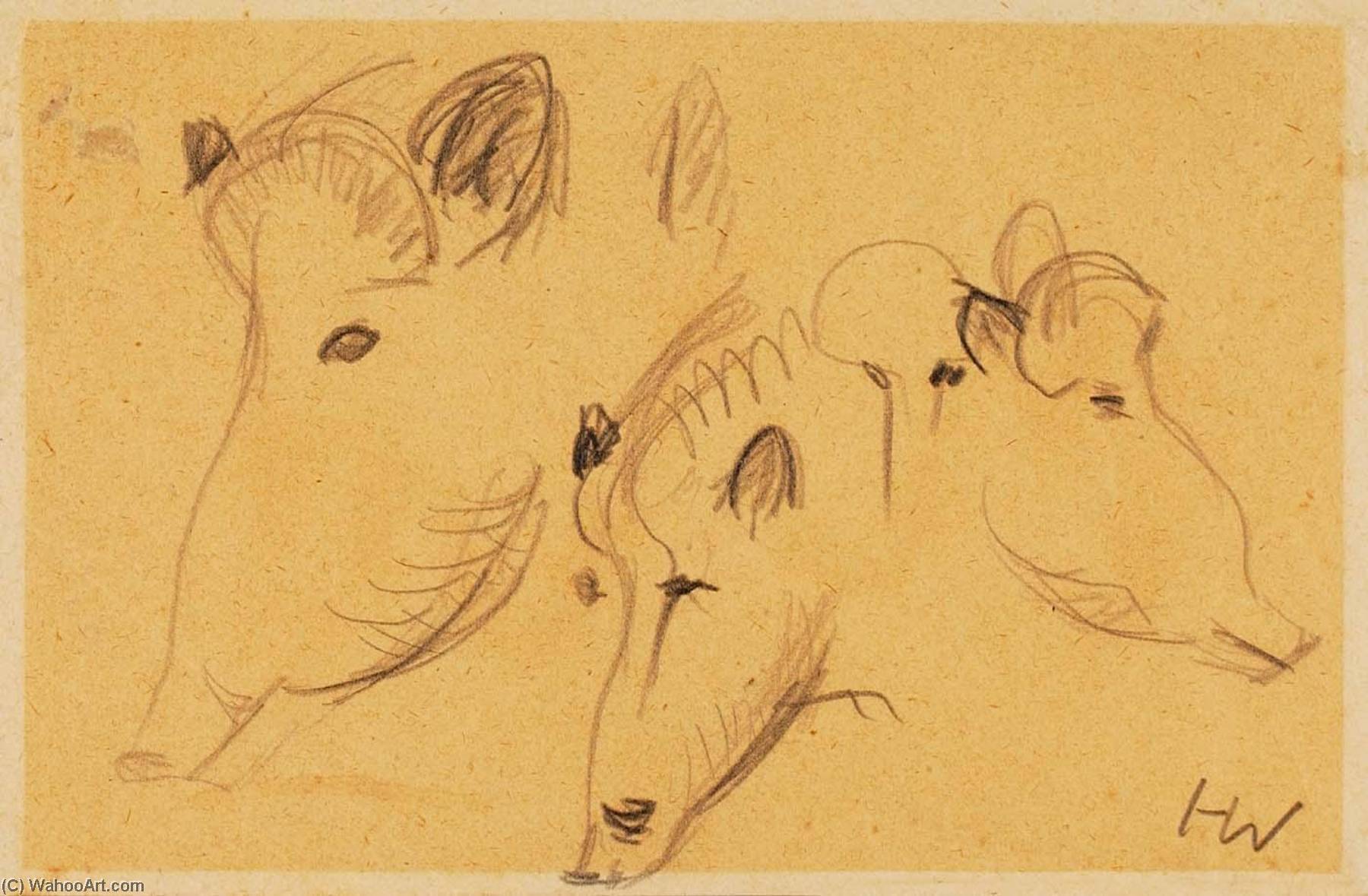 Boars (three Heads) — Heinz Warneke