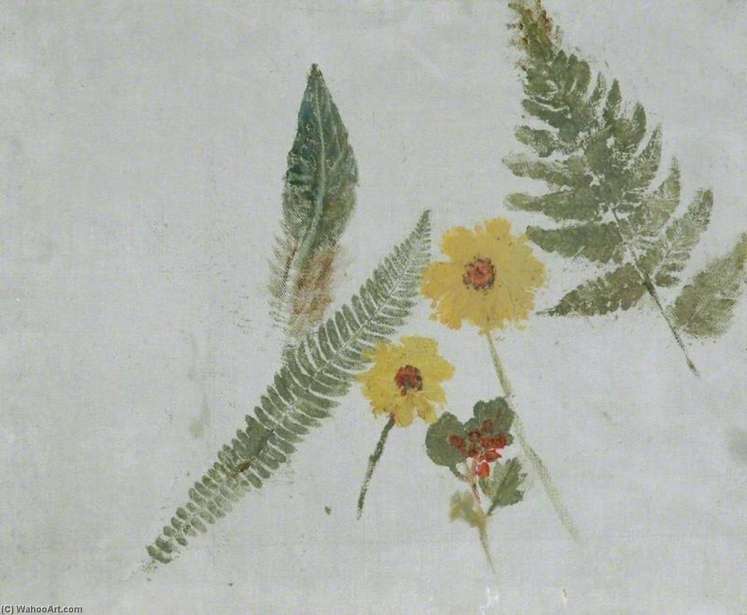 Sketch Of Flowers And Ferns — Joséphine Bowes