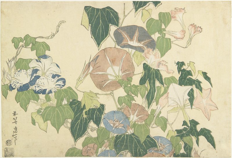 Frog And Morning Glories — Katsushika Hokusai
