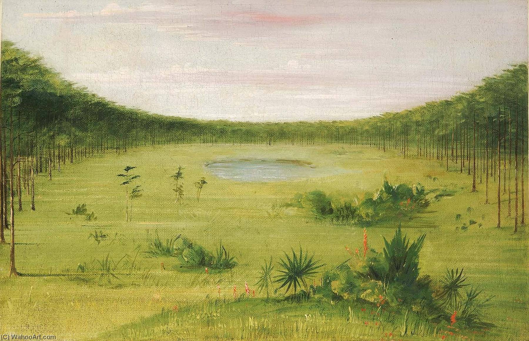 Beautiful Savannah In The Pine Woods Of Florida — George Catlin