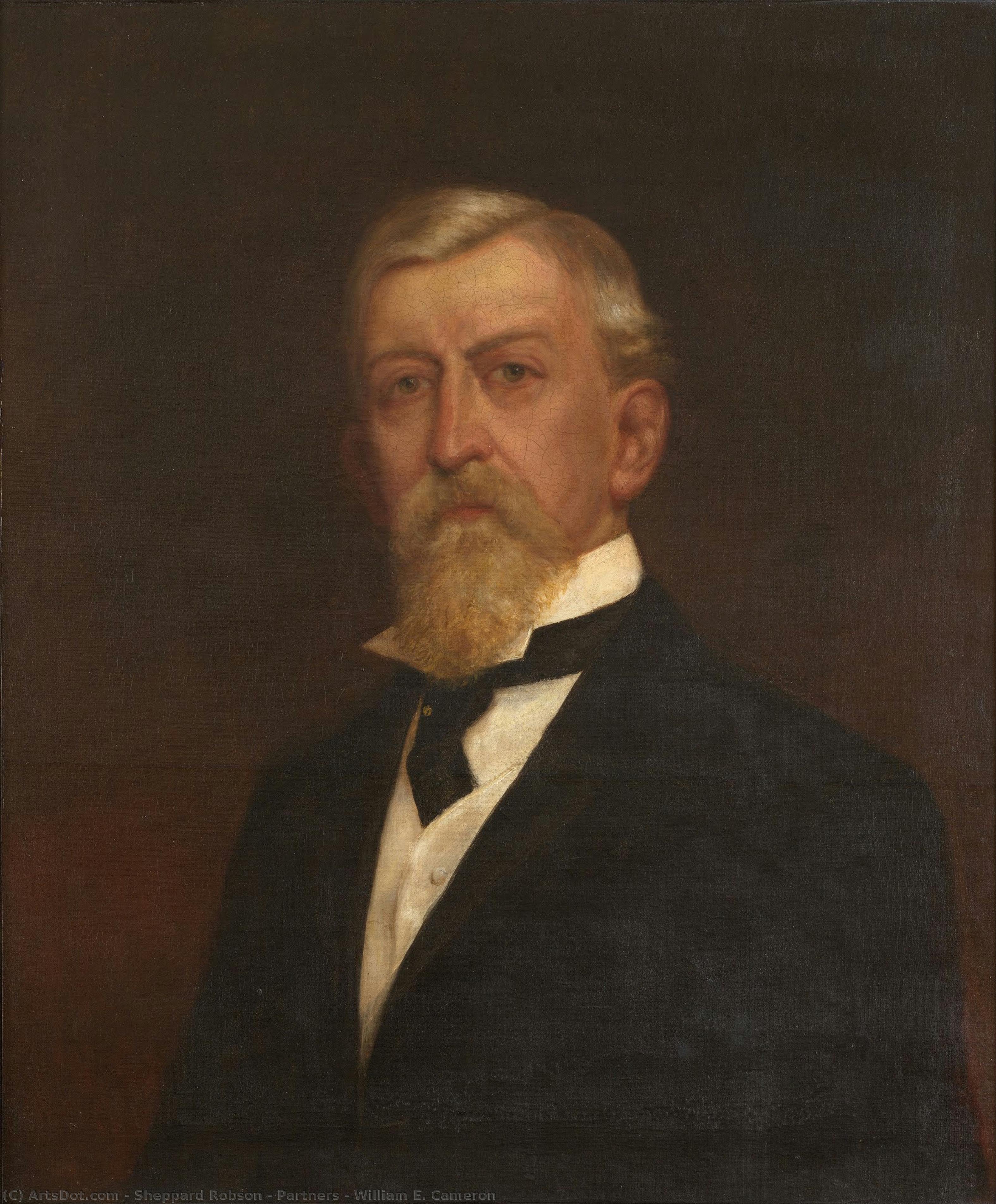 William E. Cameron — Sheppard Robson & Partners