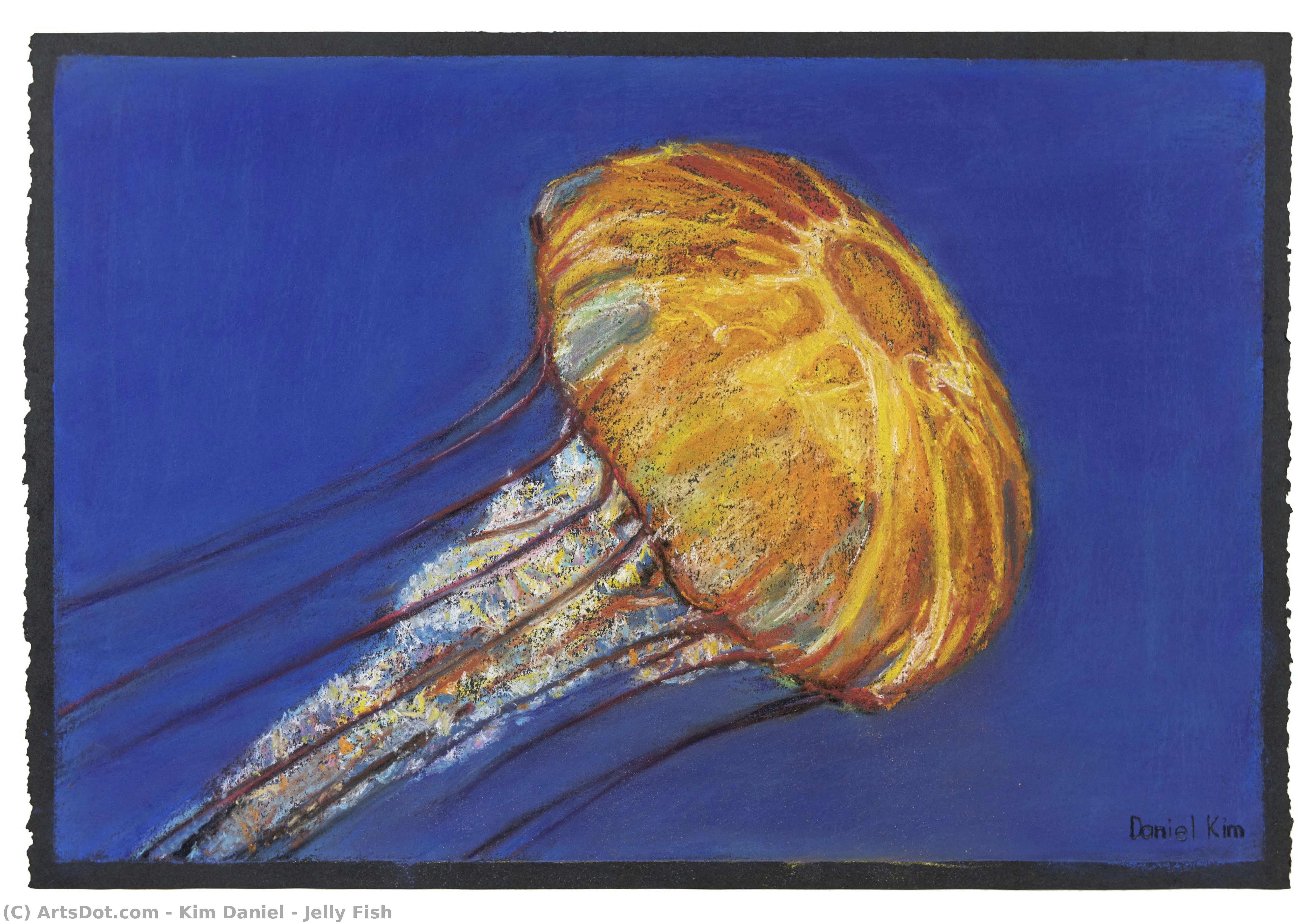Jelly Fish — Kim Daniel