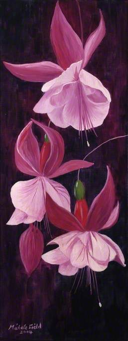 Fuchsia — Michele Elizabeth Field