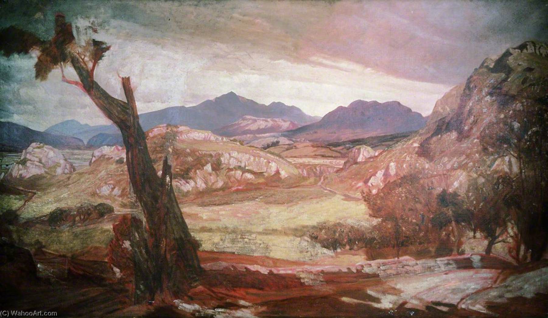 The Cader Idris Range — Christopher Williams