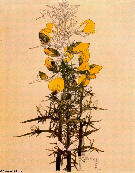 Untitled (172) — Чарльз Ренни Маккинтош