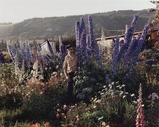 A Blind Man In His Garden, Homer, Alaska — Joel Sternfeld