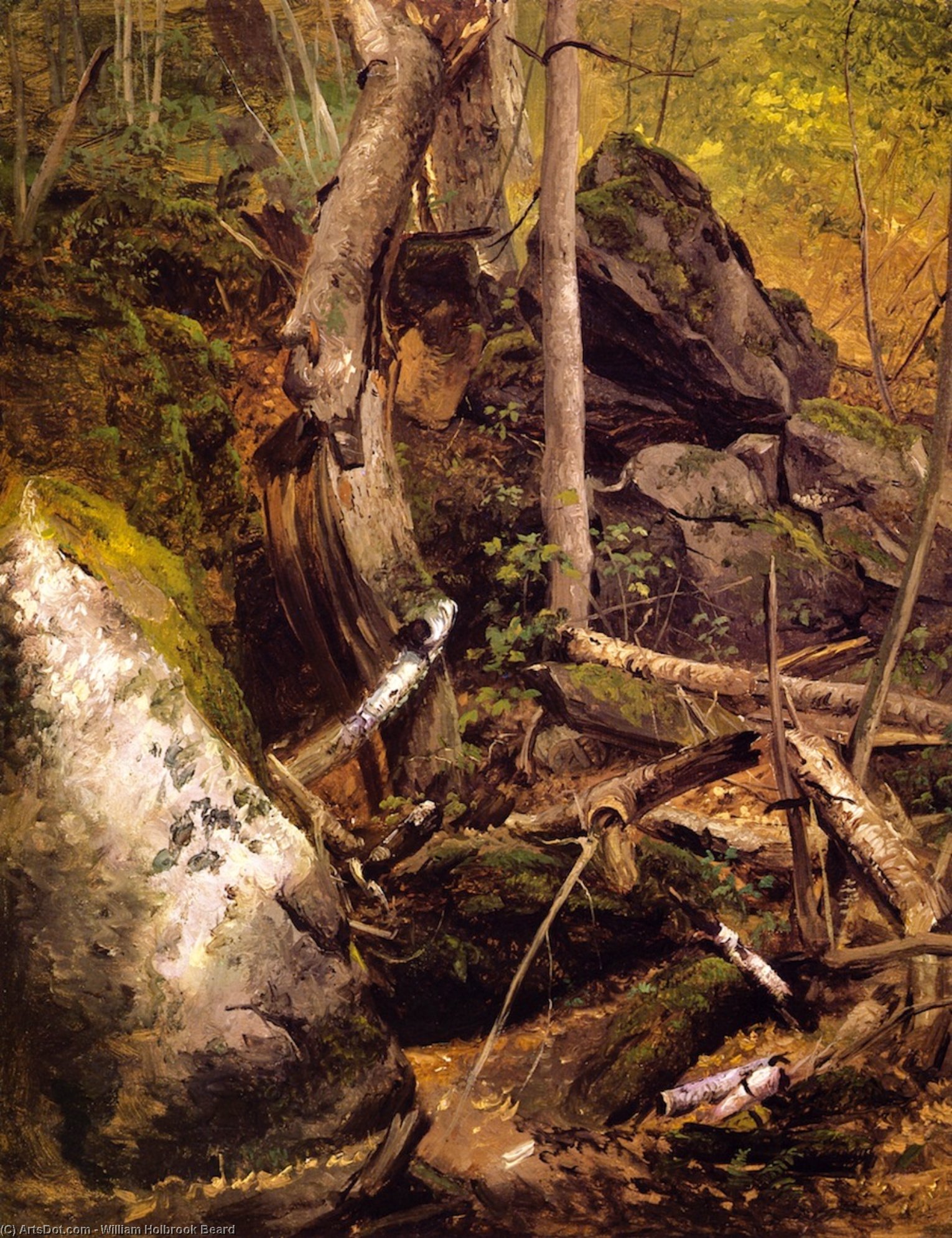 Forest Interior — ウィリアム・ホルブルック・ビアード