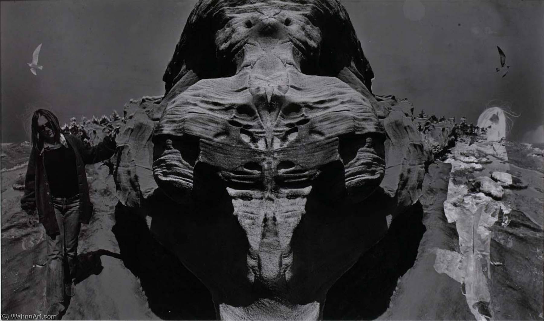 Untitled (landscape) — Jerry Uelsmann