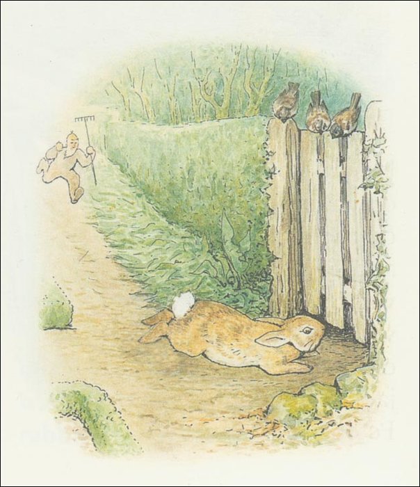 Peter Rabbit 27a - (11x12) — Beatrix Potter