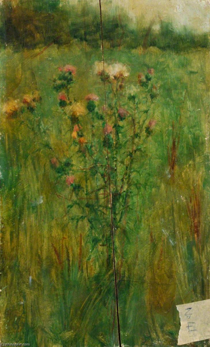 Thistle In A Field — Benjamin Haughton