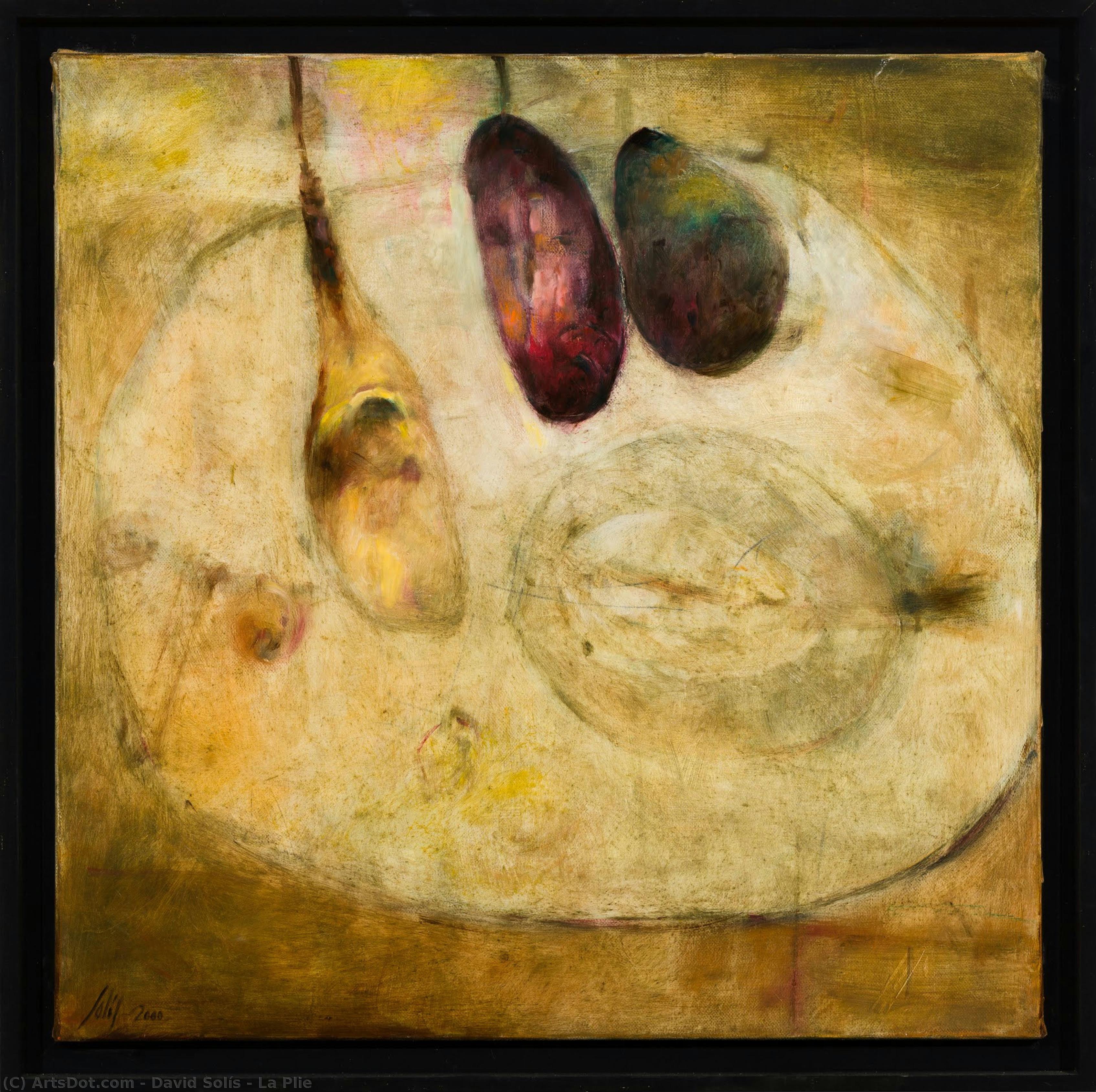 La Plie — David Solís