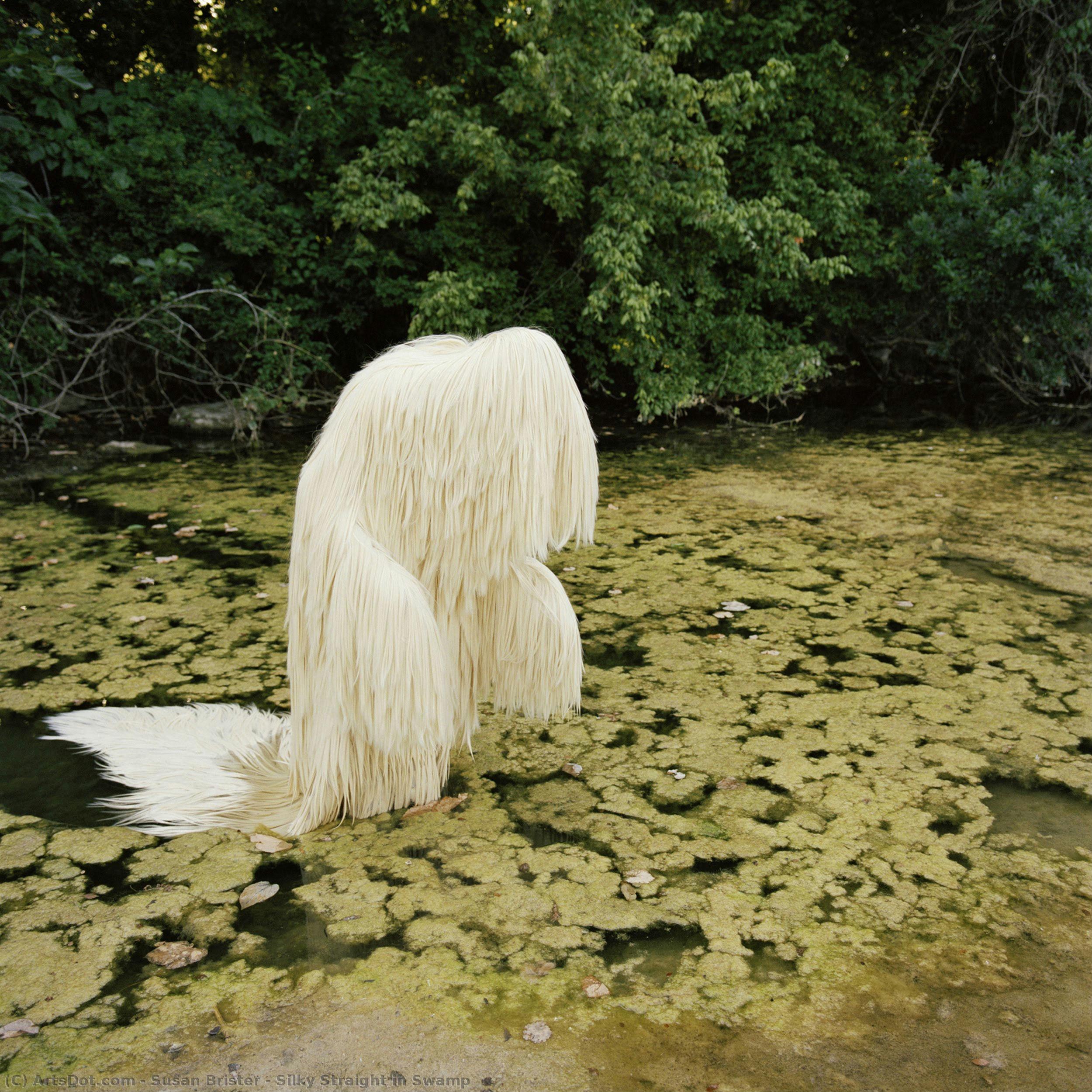 Silky Straight In Swamp — Susan Brister