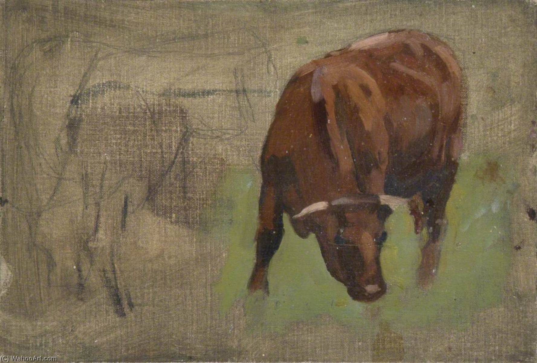 Cow Grazing — Gunning King