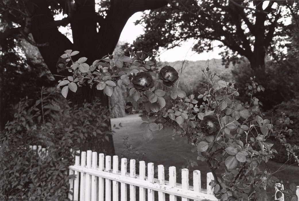 Pomona, New York — Lee Friedlander