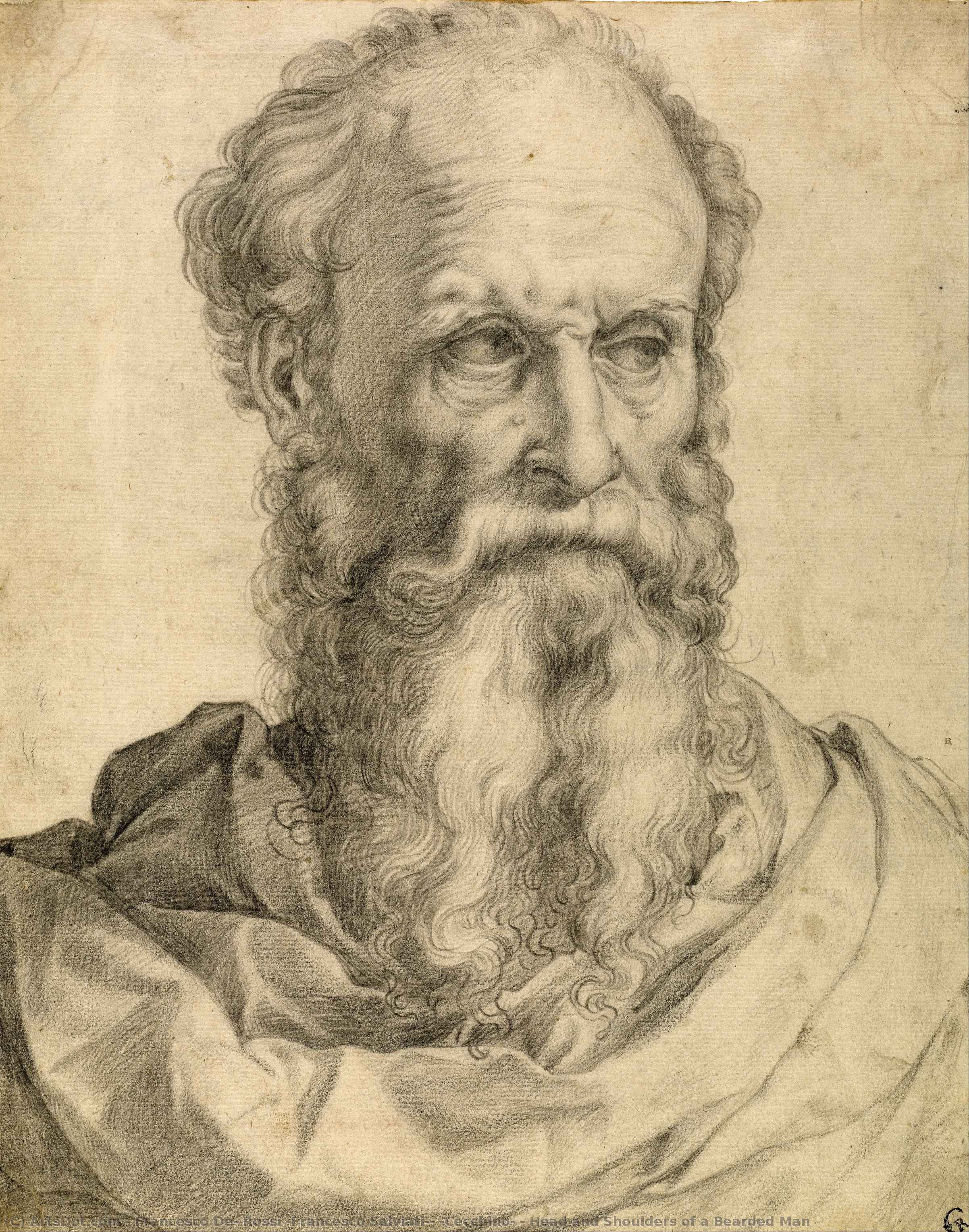 Head And Shoulders Of A Bearded Man — Francesco De Rossi (francesco Salviati) (cecchino)