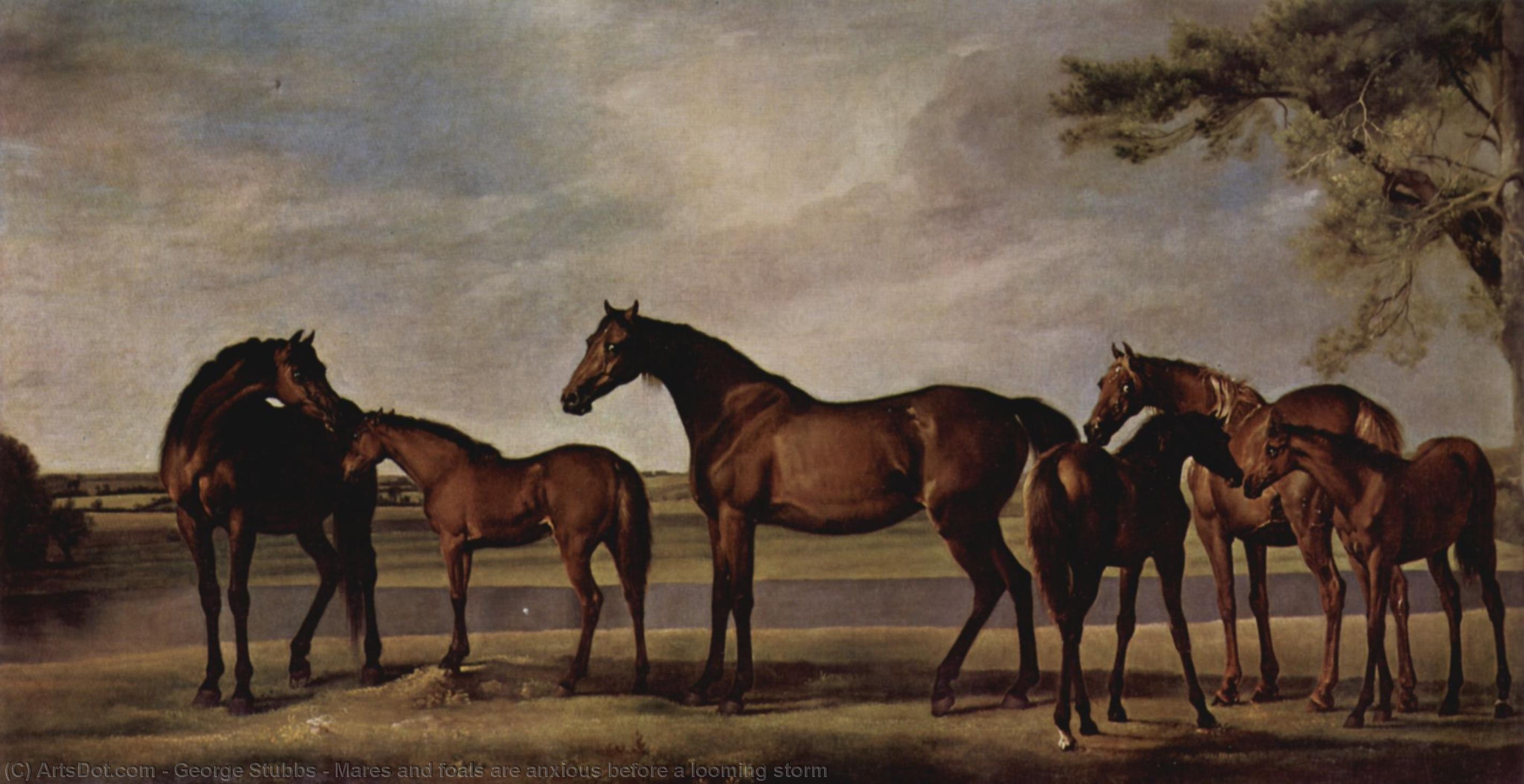 Mares And Foals Are Anxious Before A Looming Storm — George Stubbs