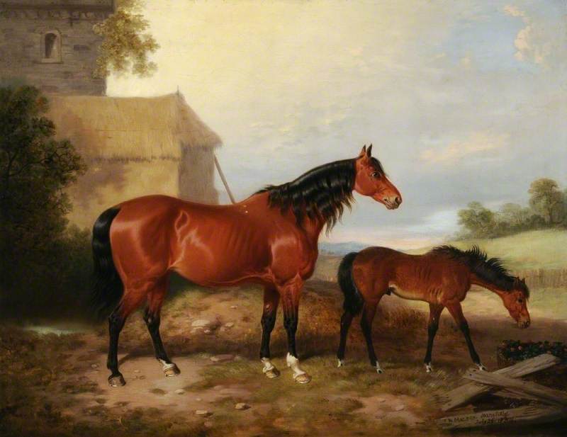 Mare And Foal — William Malbon