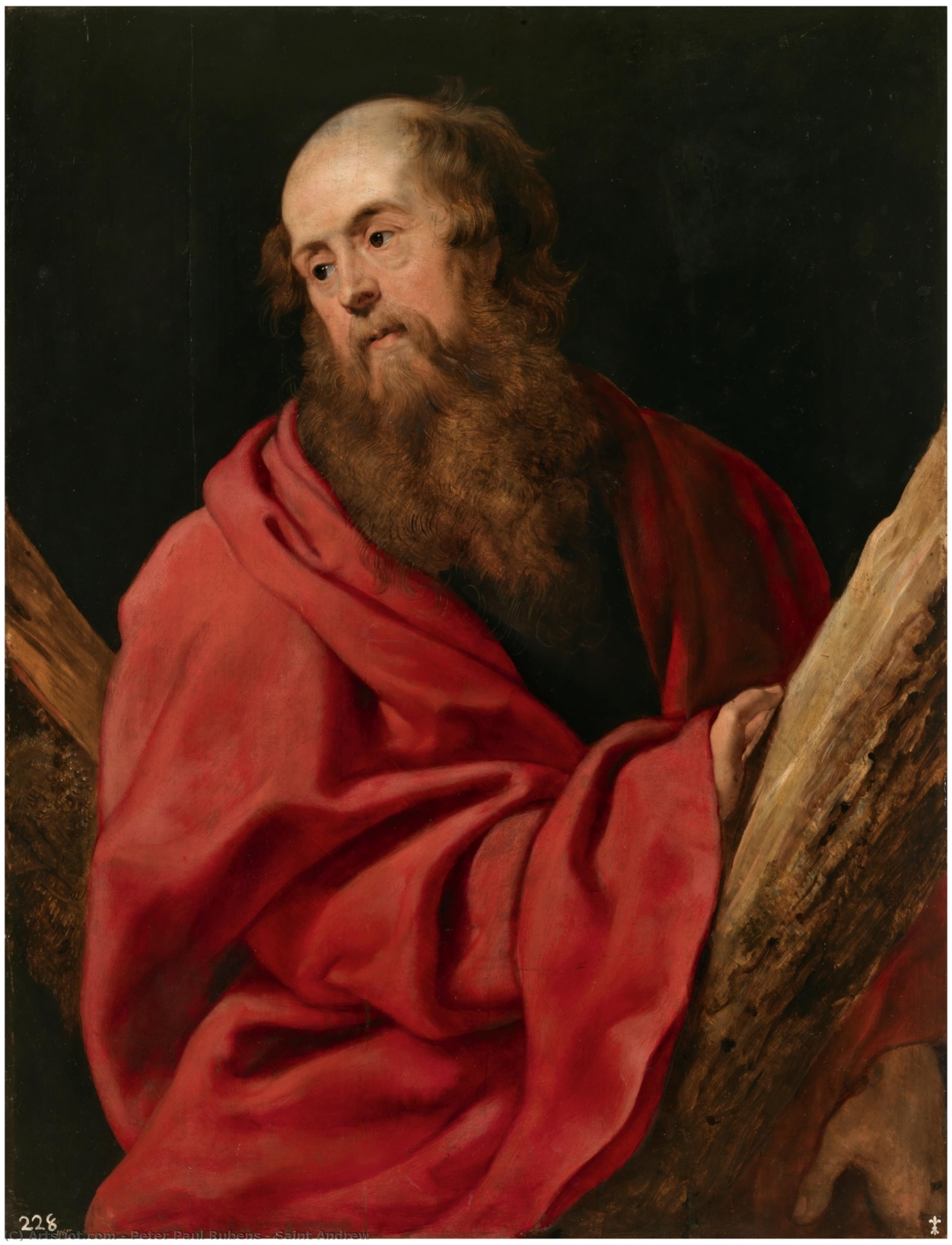 Saint Andrew — Peter Paul Rubens
