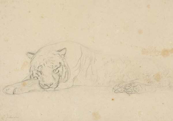 A Sleeping Tiger 1 — John Frederick Lewis