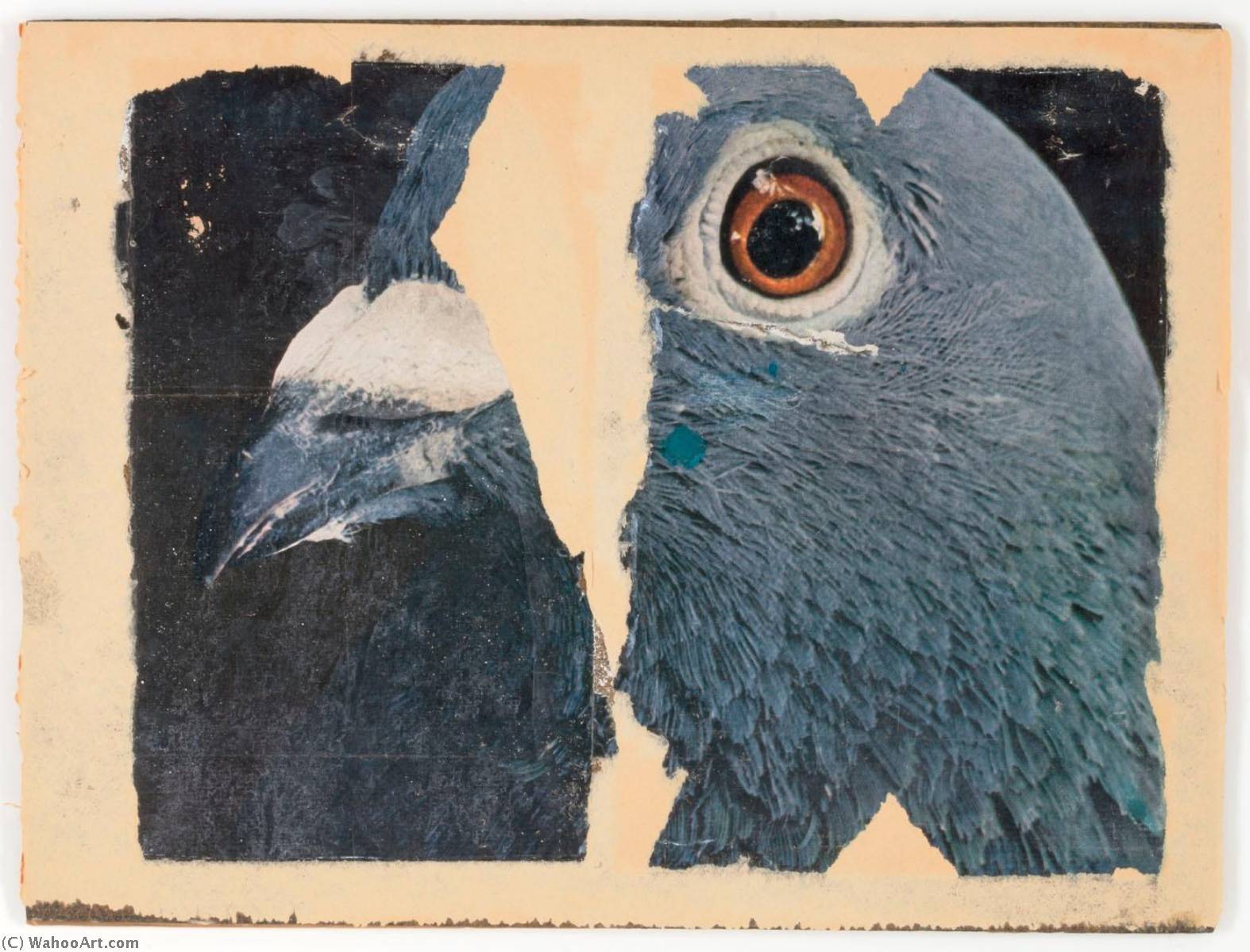 Untitled (pigeon Head) — Джозеф Корнелл