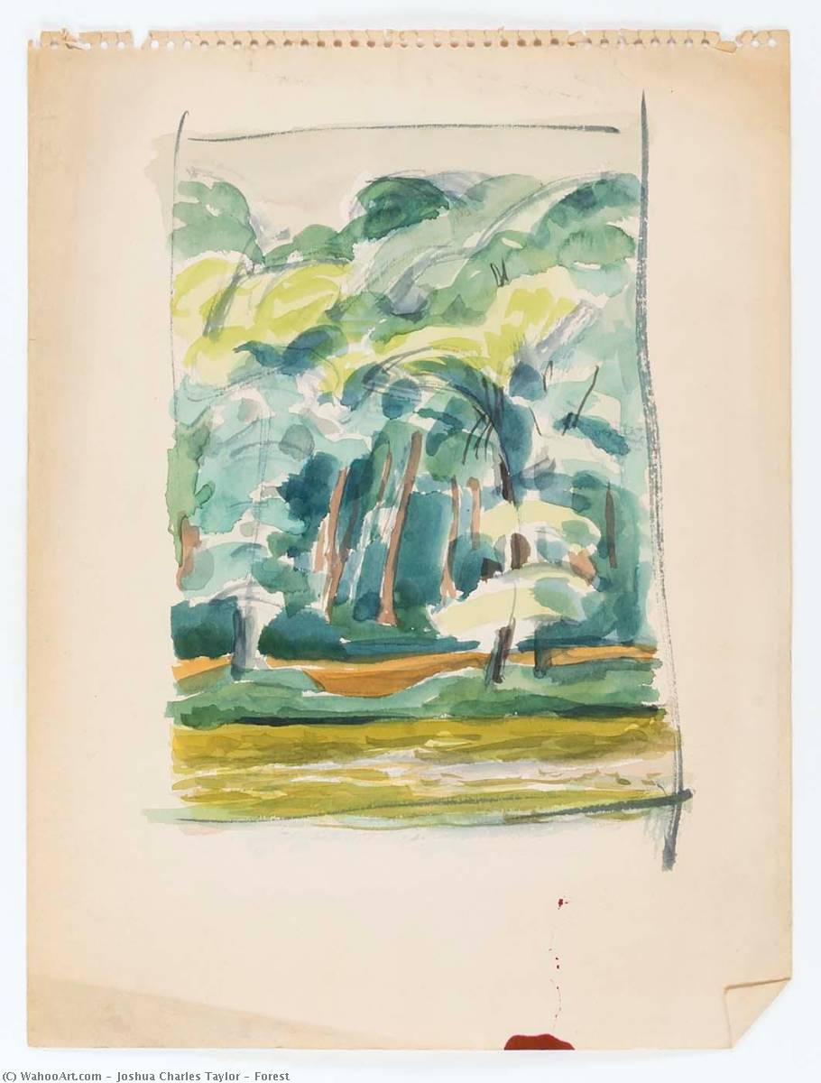 Forest — Joshua Charles Taylor