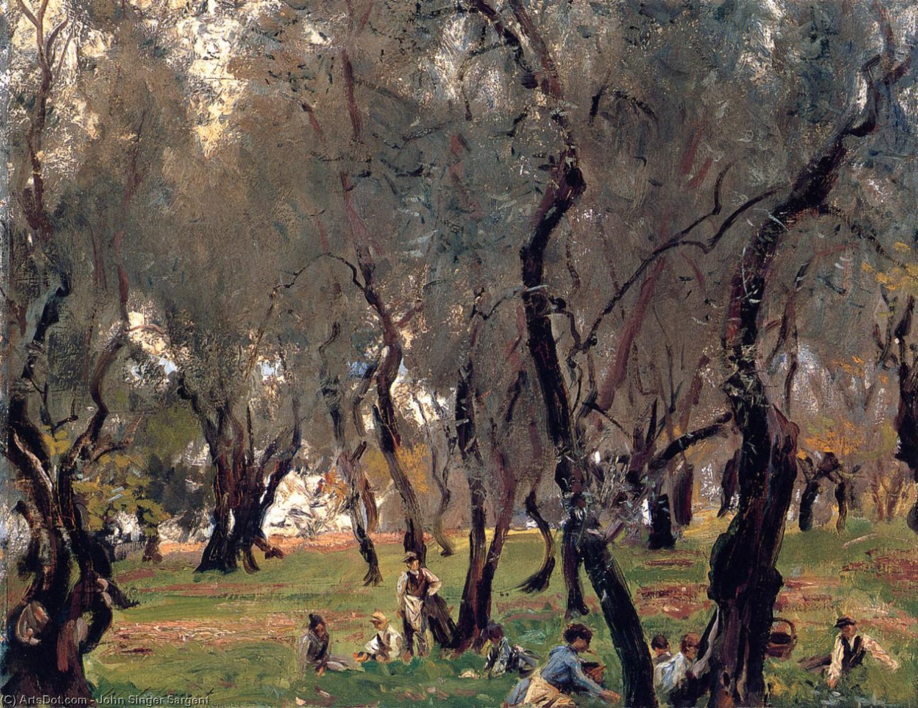 The Olive Grove — John Singer Sargent