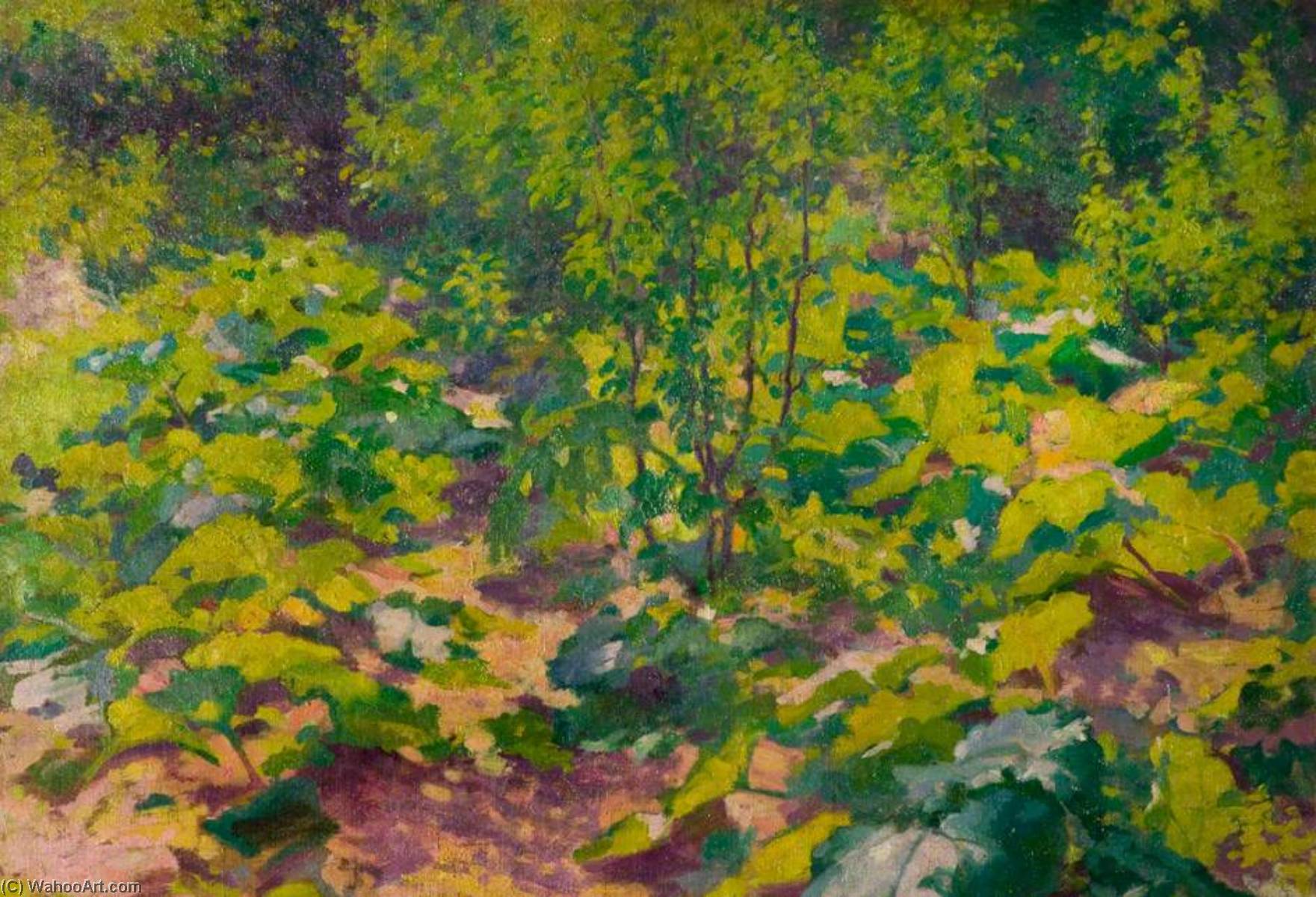 Undergrowth — William Tom Warrener