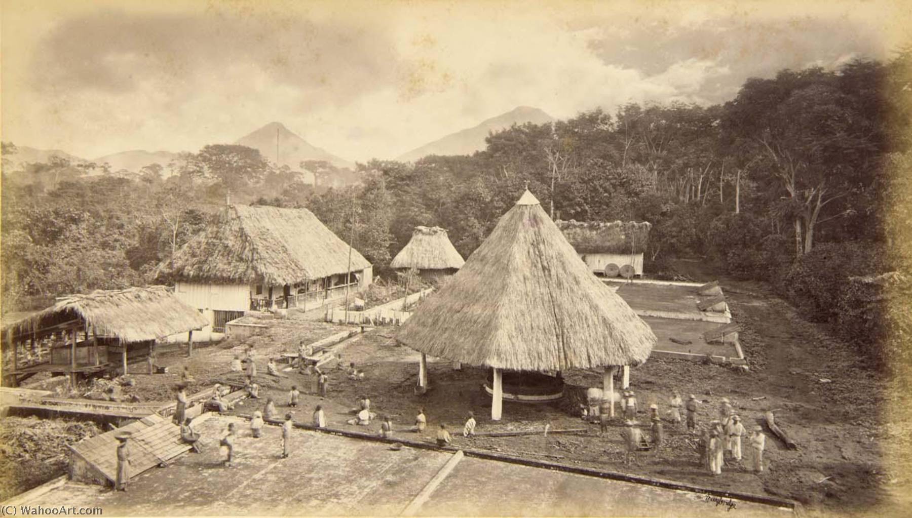 Hacienda William Nelson, San Isidro, Guatemala — Eadweard J Muybridge