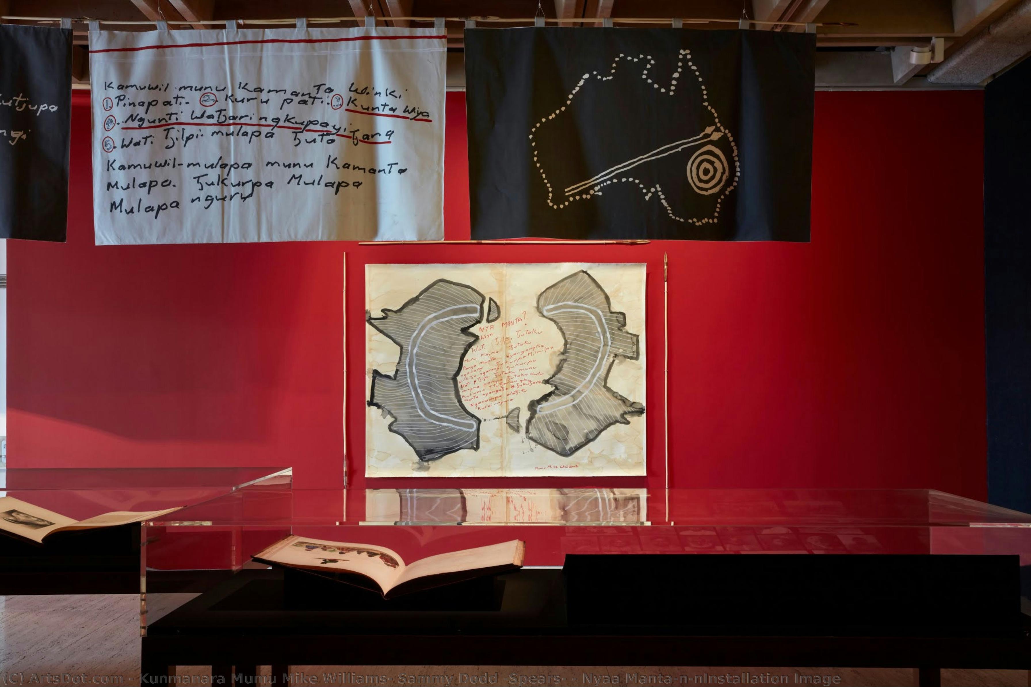 Nyaa Manta\n\ninstallation Image — Kunmanara Mumu Mike Williams; Sammy Dodd (spears)