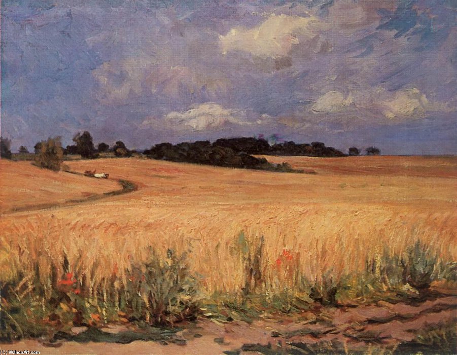 Cornfield — Istvan Boldizsar