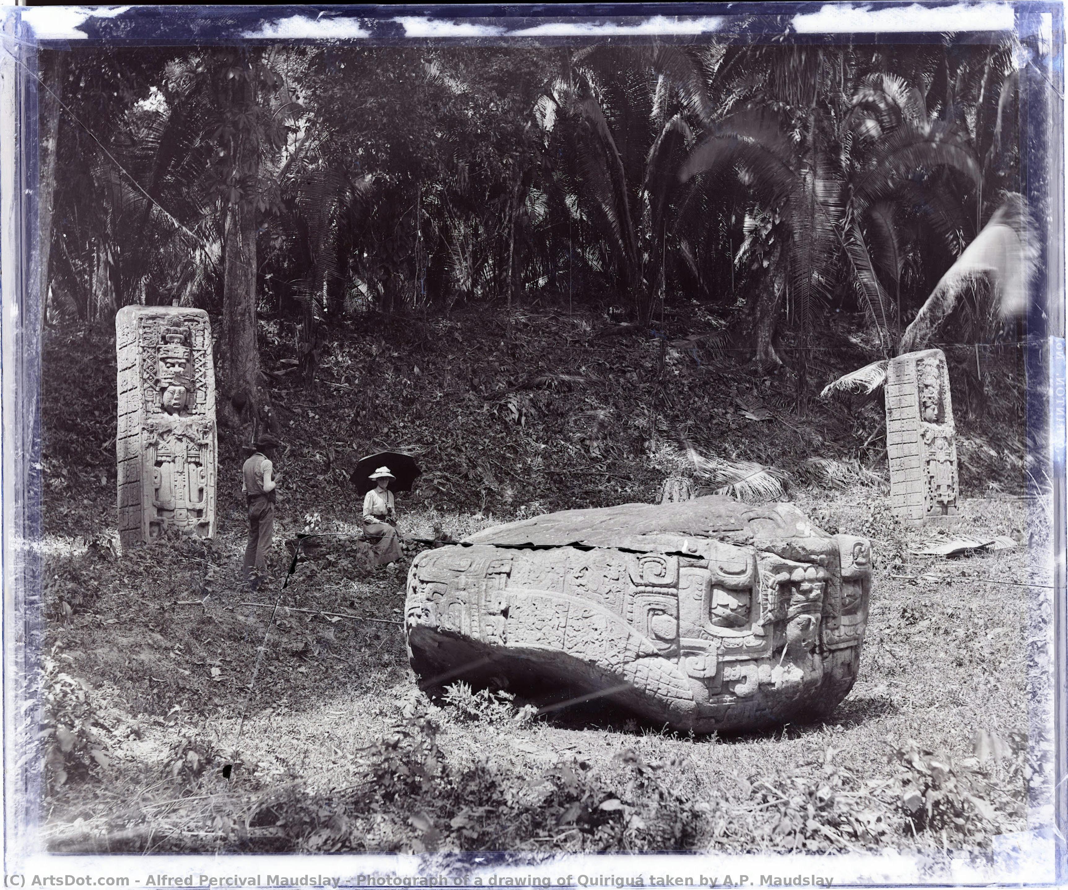 Fotografie Einer Zeichnung Von Quiriguá, Aufgenommen Von A.p. Maudslay — Alfred Percival Maudslay