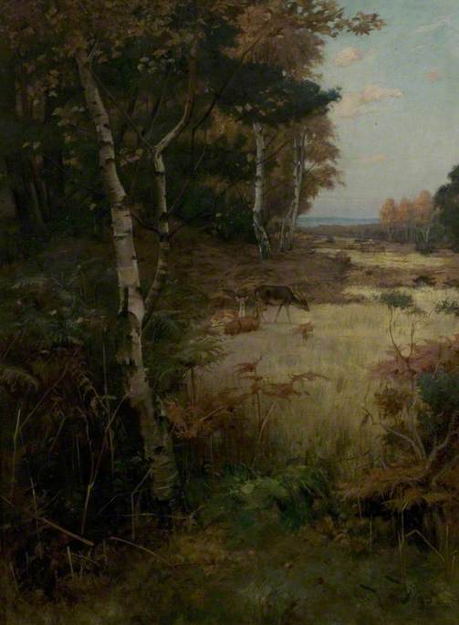Deer In A Forest — Wright Barker