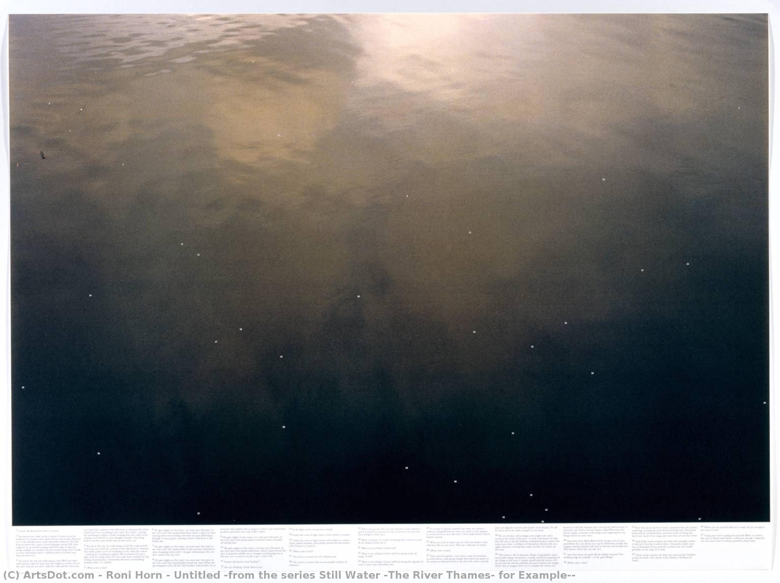 Untitled (from The Series Still Water (the River Thames, For Example)) — Roni Horn