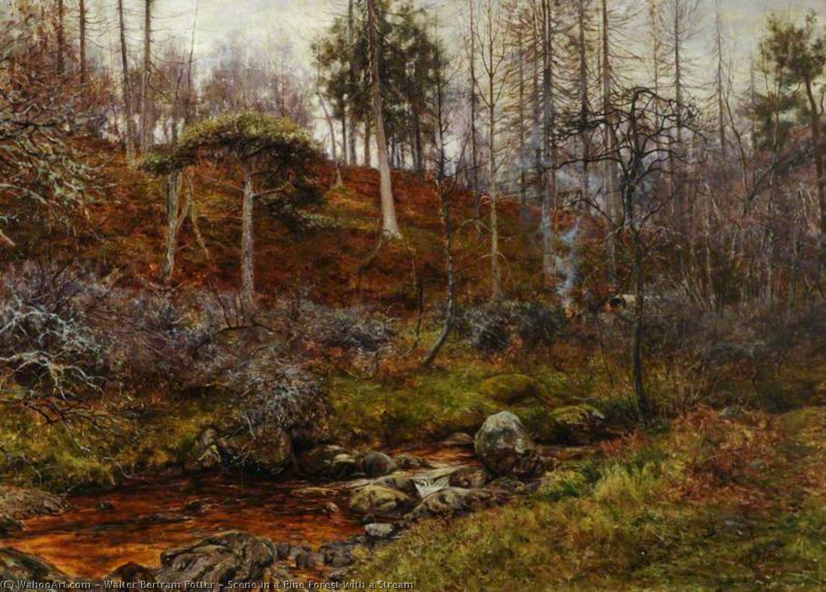 Scene In A Pine Forest With A Stream — Walter Bertram Potter