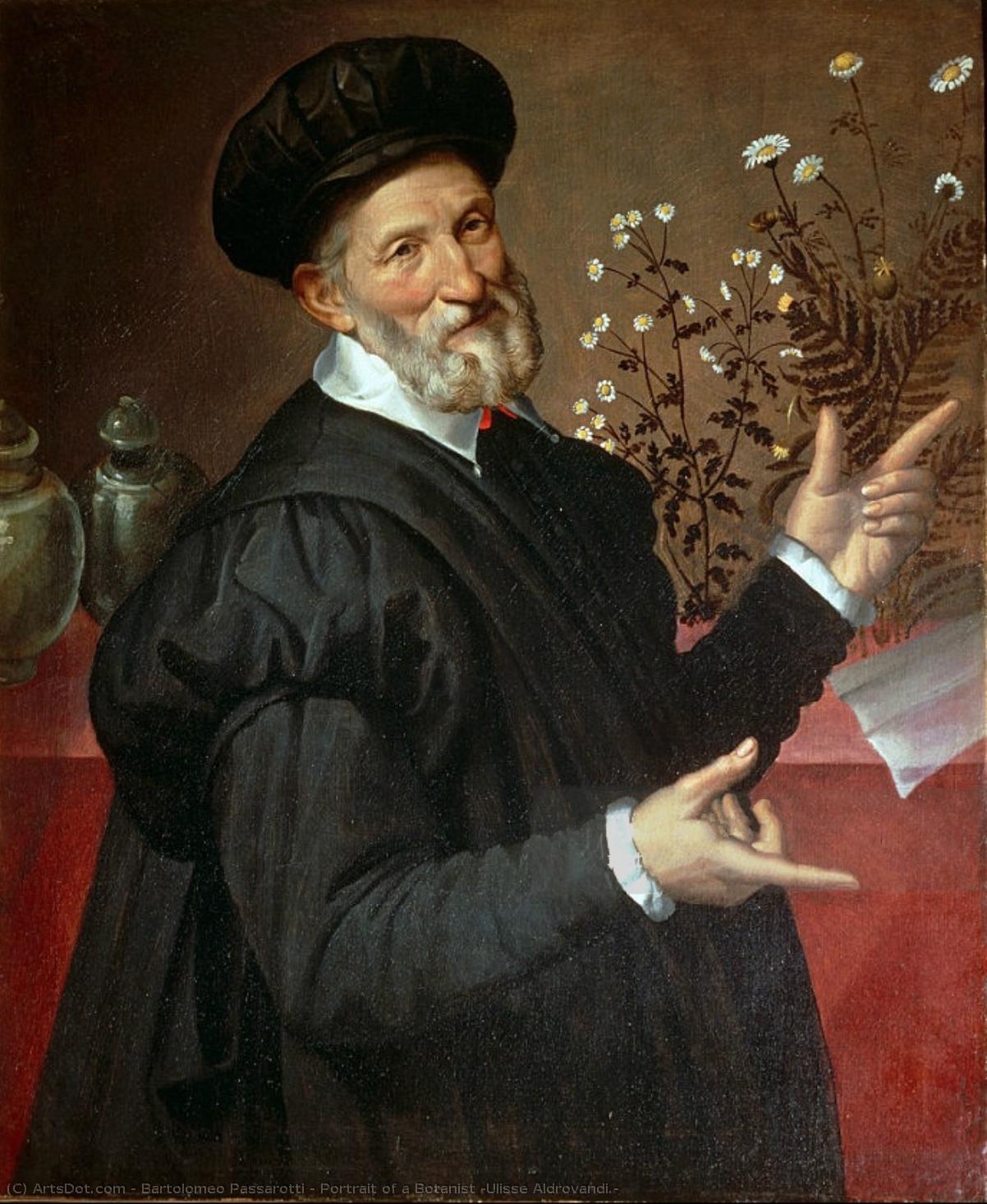 Portrait Of A Botanist (ulisse Aldrovandi.) — Bartolomeo Passarotti