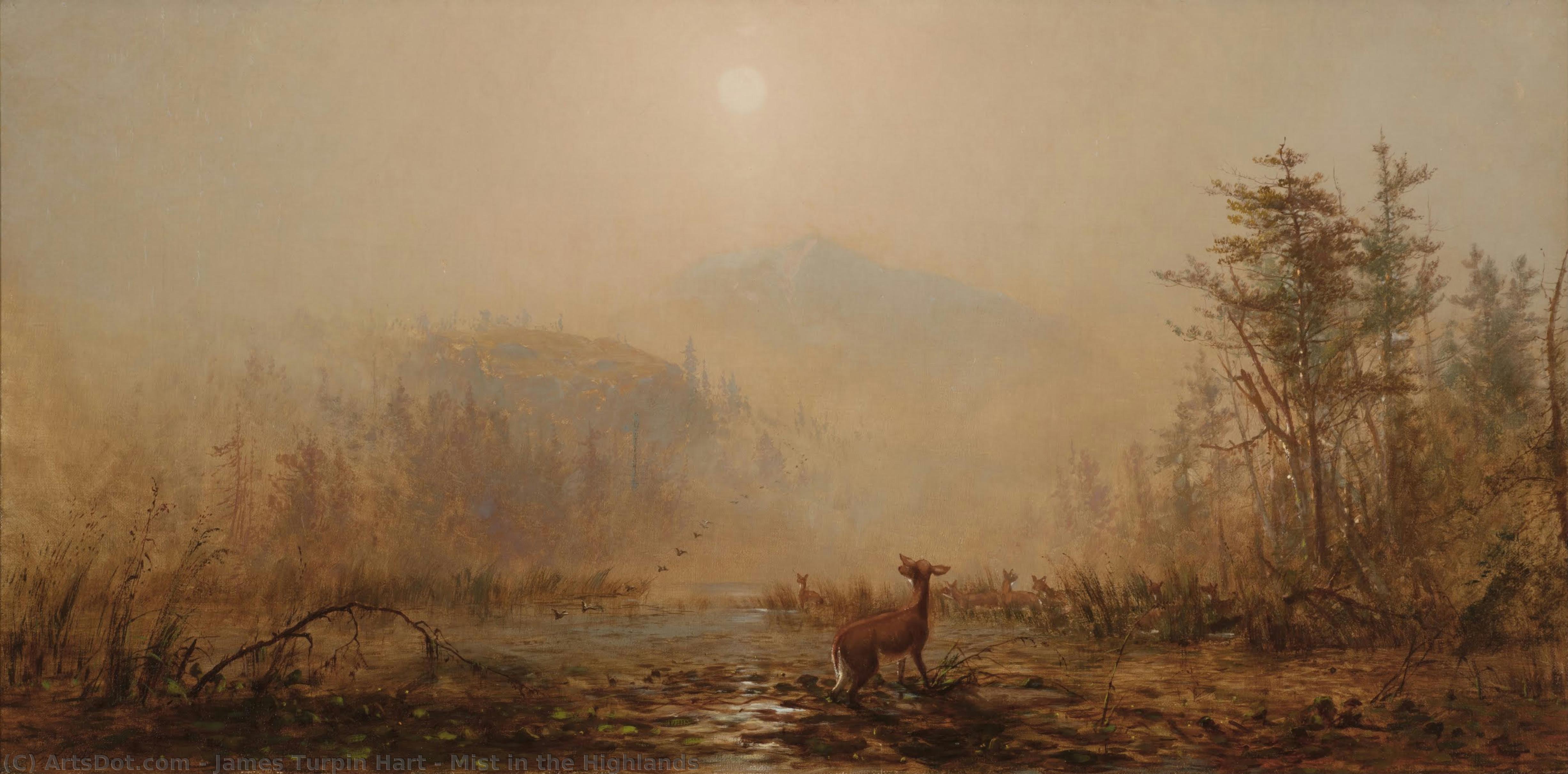 Mist In The Highlands — James Turpin Hart