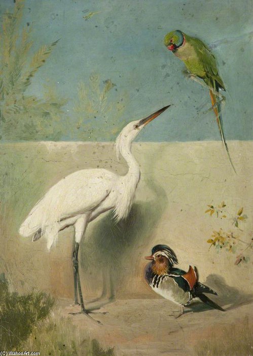 Egret, Parakeet And Mandarin Duck — William Arnold Woodhouse