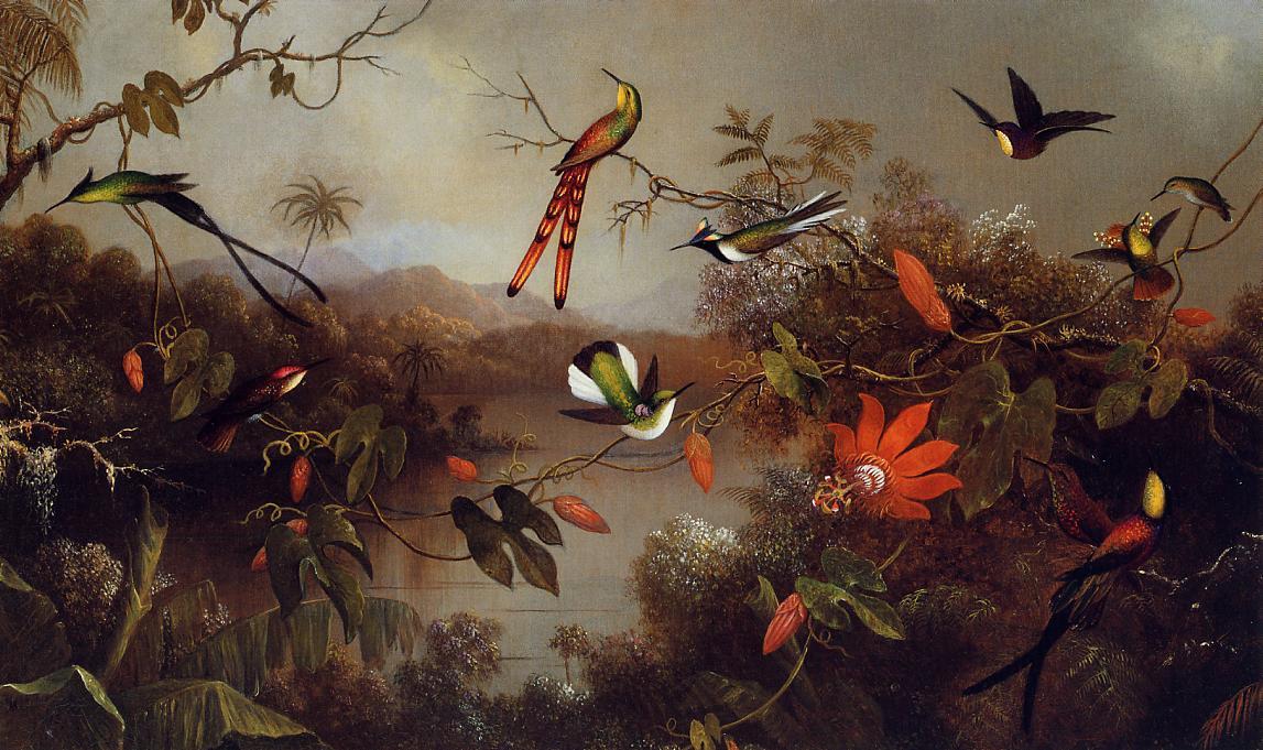 Tropical Landscape With Ten Hummingbirds — Martin Johnson Heade