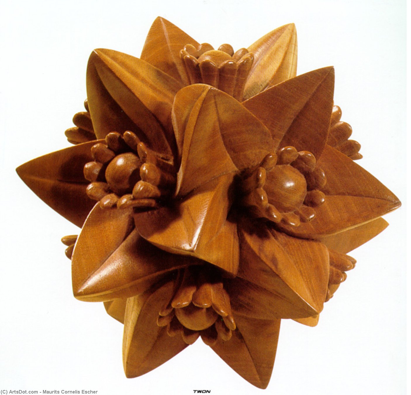 With Flowers — Maurits Cornelis Escher