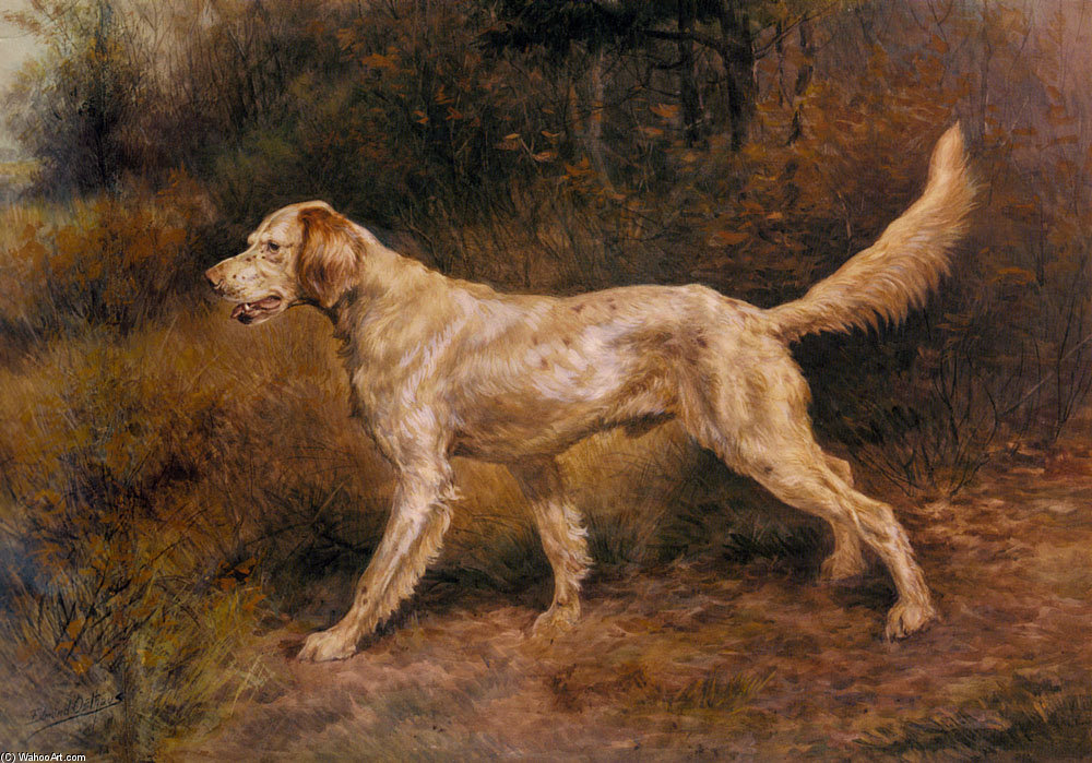 Commissioner A Champion English Setter — Edmund Henry Osthaus