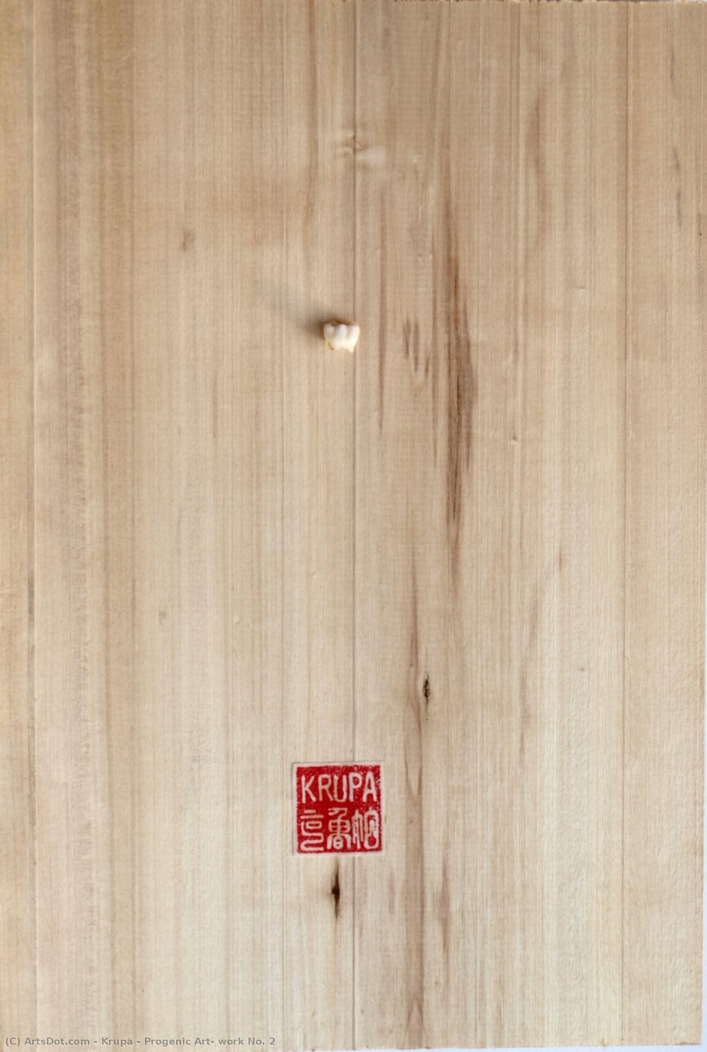 Progenic Art: Work No. 2 — Alfred Freddy Krupa