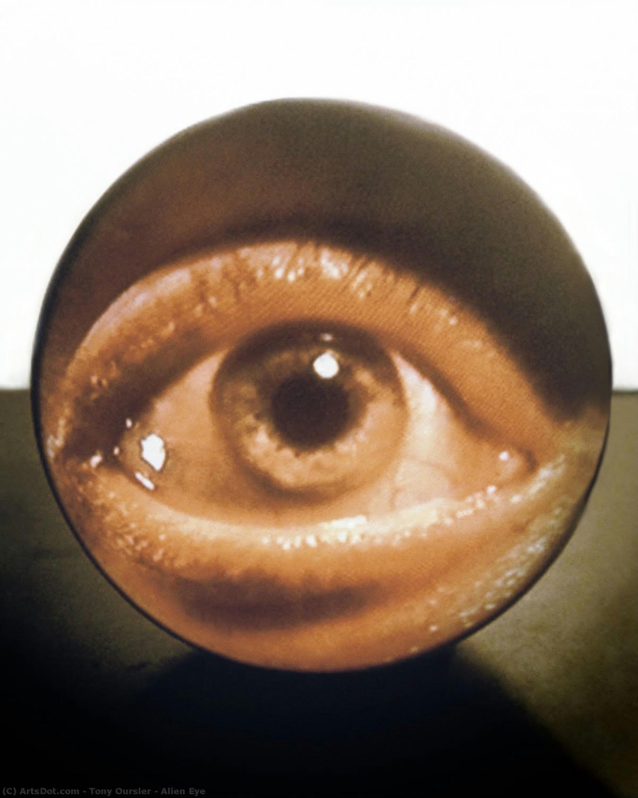 Alien Eye — Tony Oursler