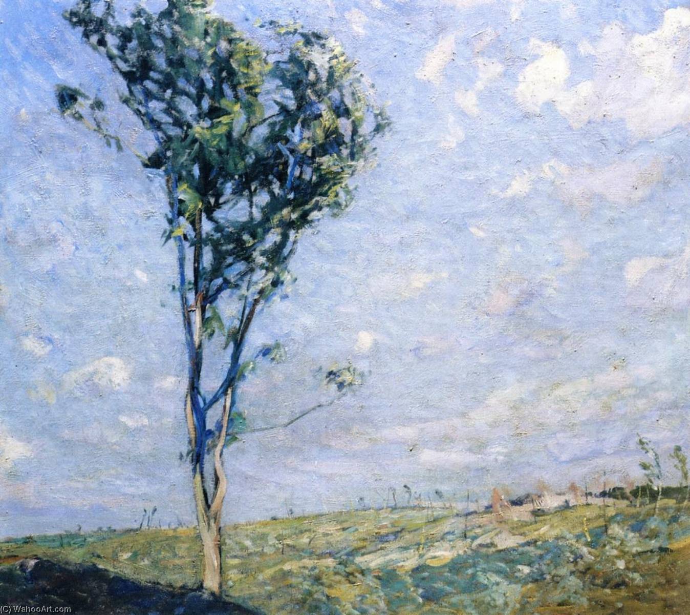 Lone Survivor (also Known As Stripped Land) — Charles H Woodbury