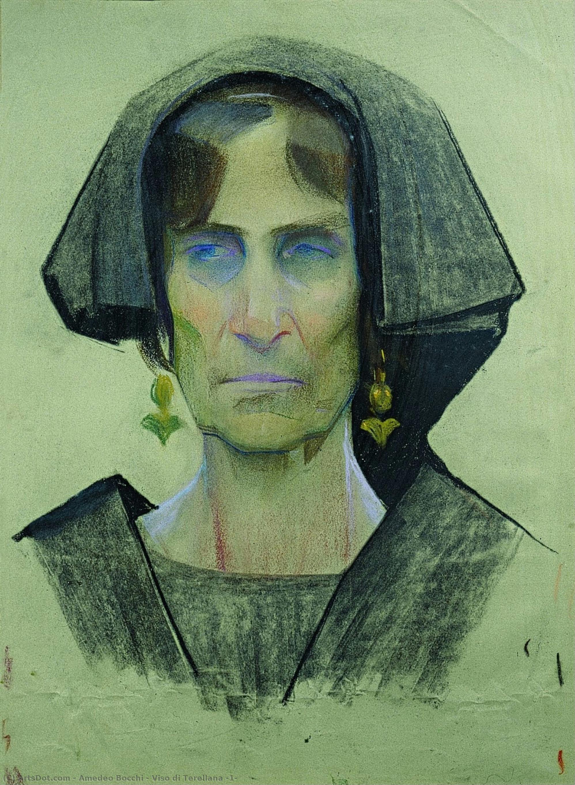 Viso Di Terellana (1) — Amedeo Bocchi