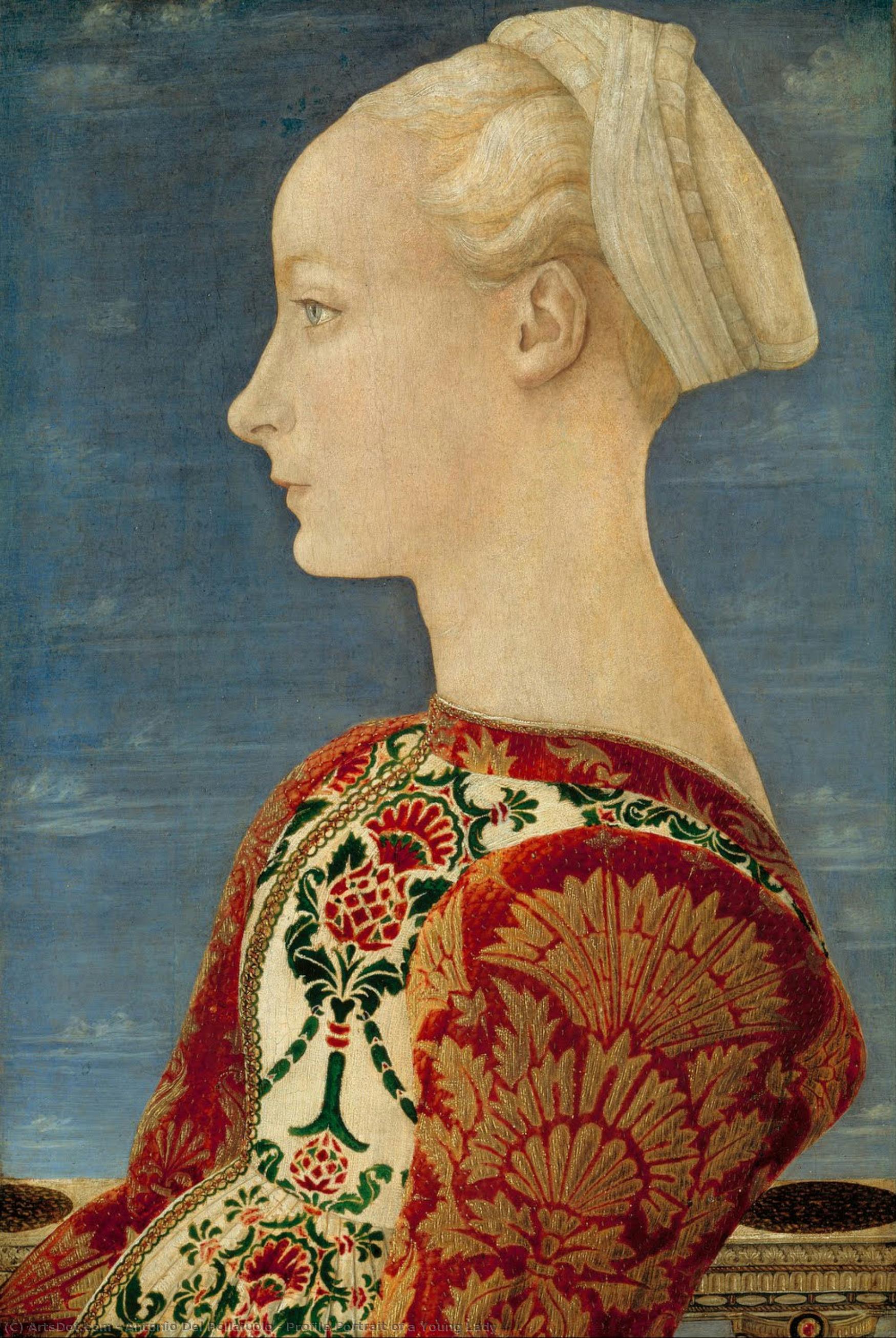 Profile Portrait Of A Young Lady — Antonio Del Pollaiuolo