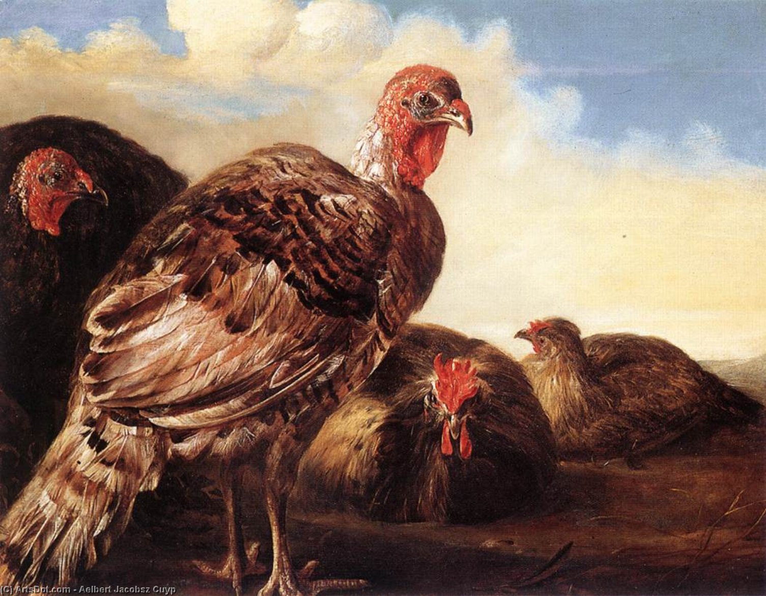 Domestic Fowl — Aelbert Jacobsz Cuyp