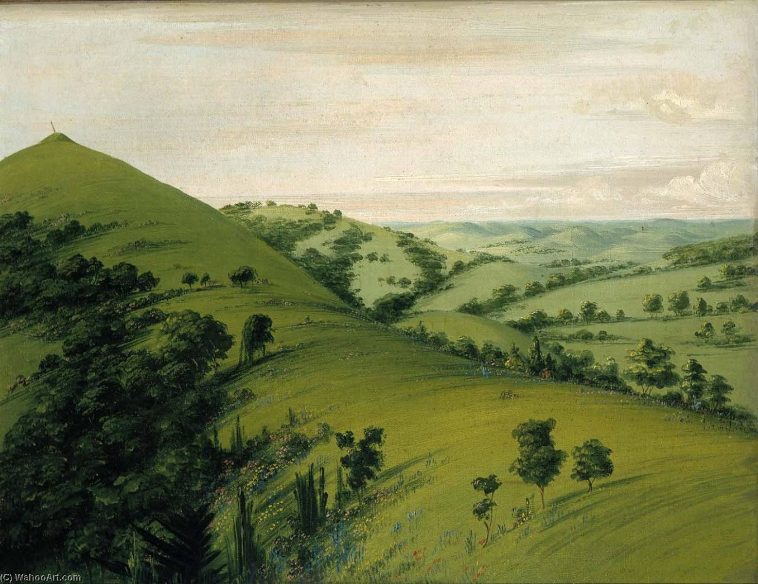 Blackbird's Grave, A Back View, Prairies Enameled With Flowers — George Catlin