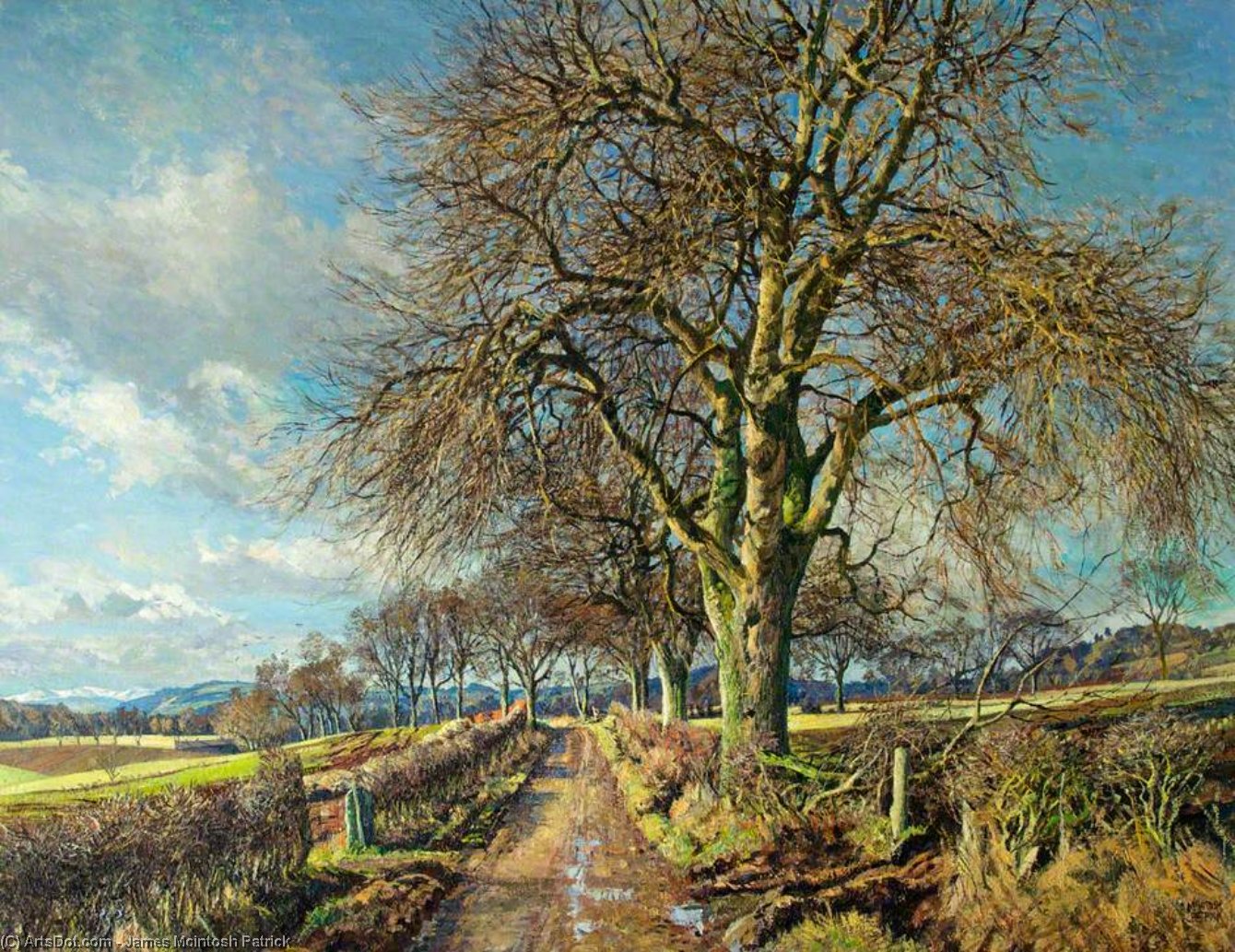 White Poplar, Carse Of Gowrie — James Mcintosh Patrick