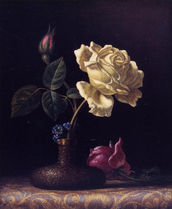 The White Rose — Мартин Джонсон Хед